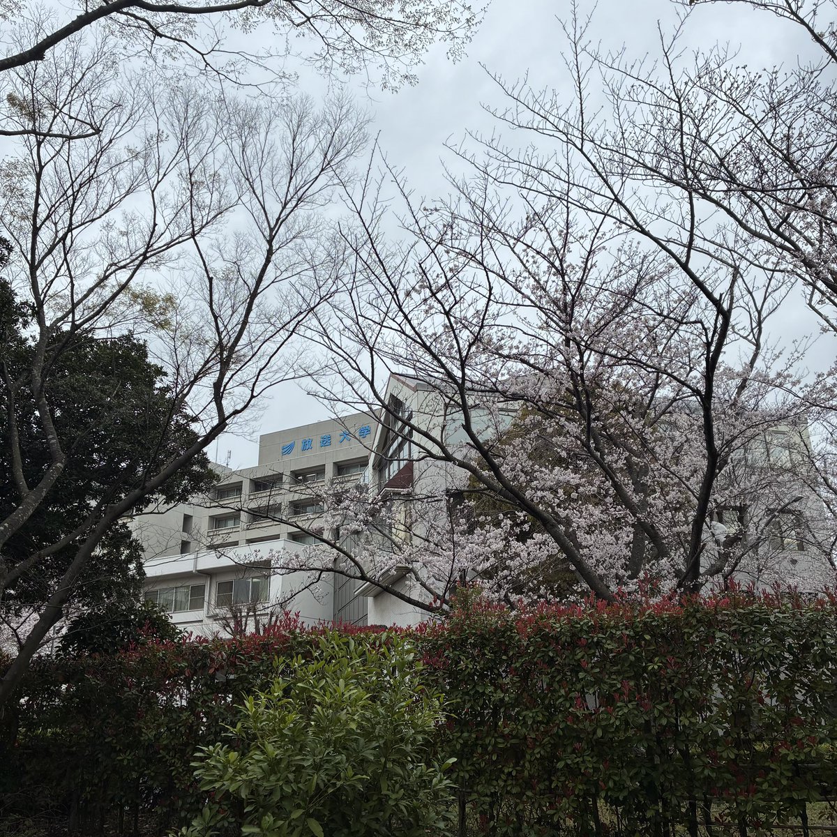 放送大学情報コース・情報学プログラム tweet media