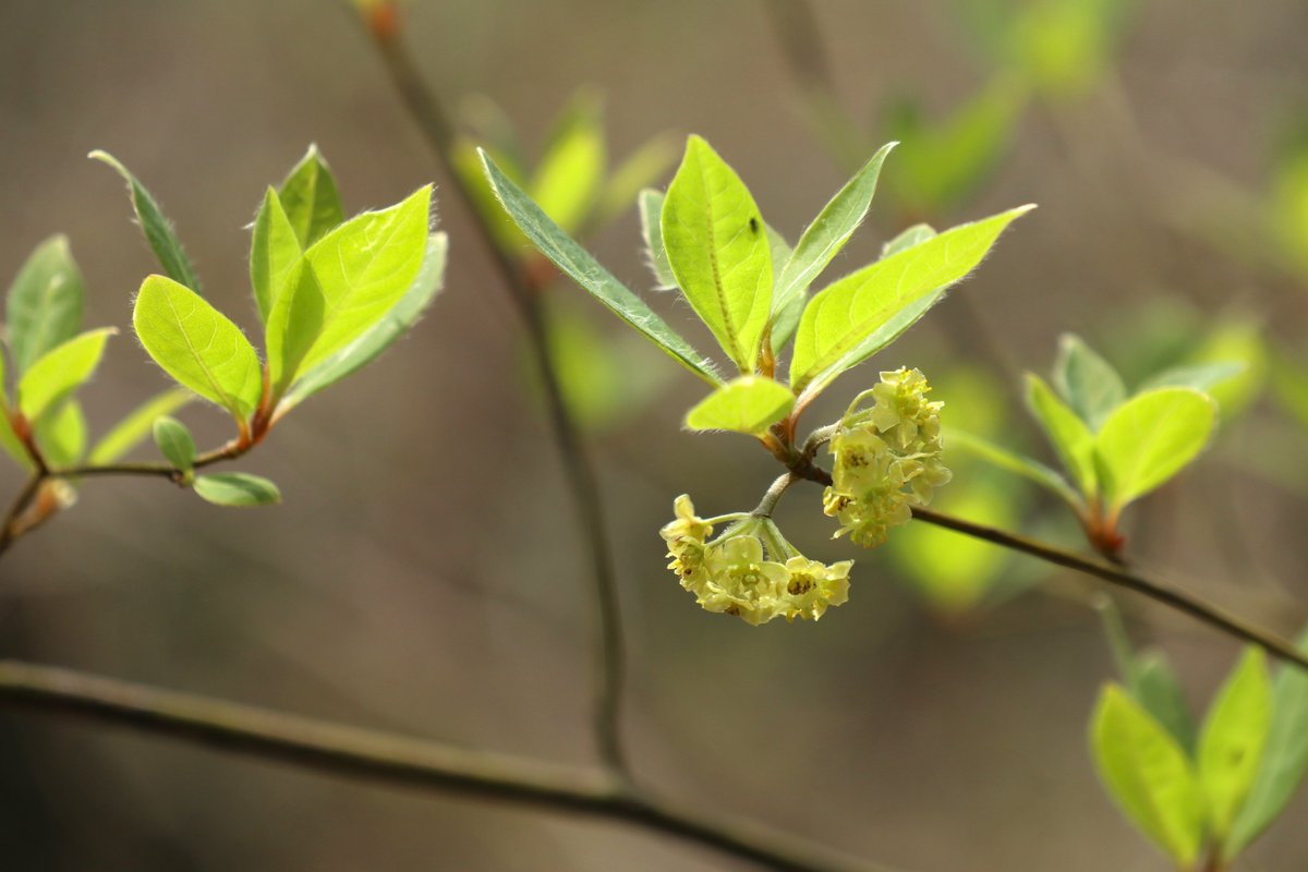 神奈川県立秦野ビジターセンター tweet media