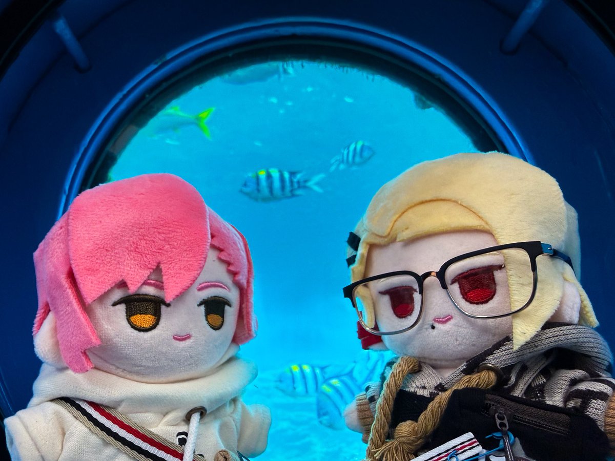 Shin_Towada's tweet photo. 💠🐟🐟🐟

#ユニヴェールぬいぐるみ部 https://t.co/hxV2TOamYp