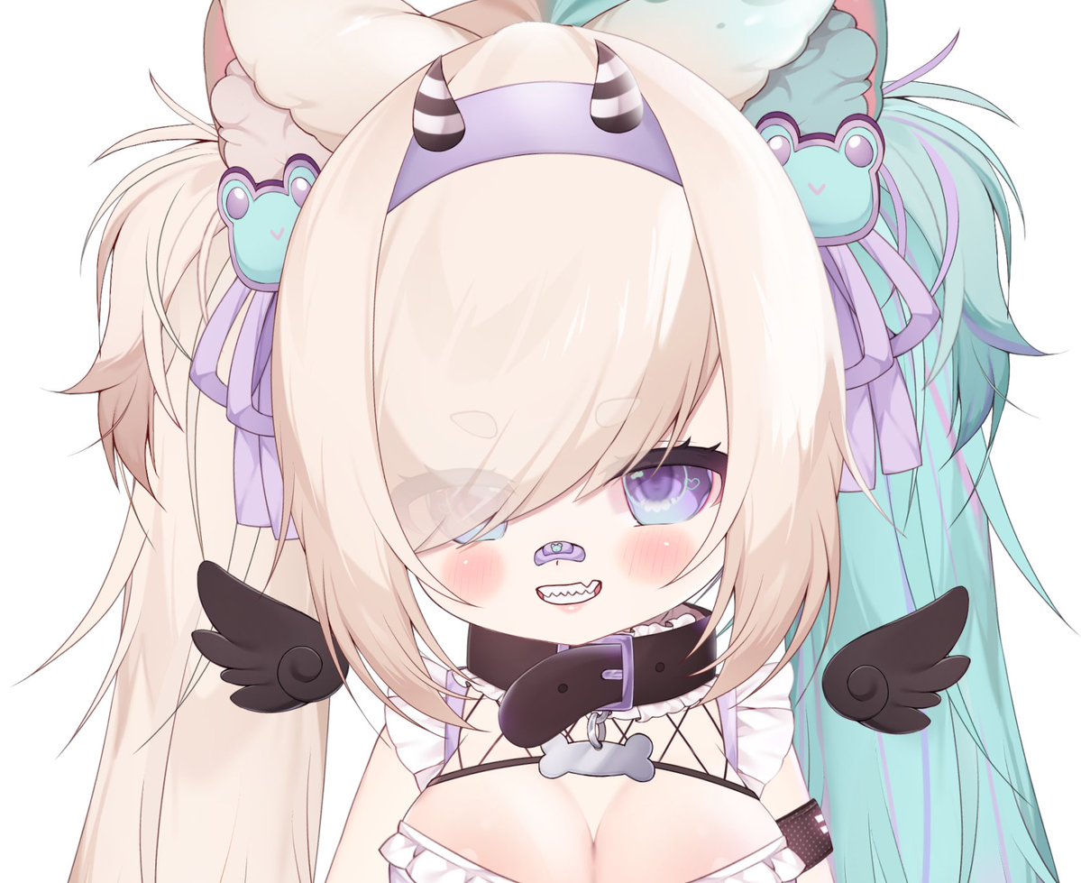 kiskaキスカー🐸🐾 tweet media