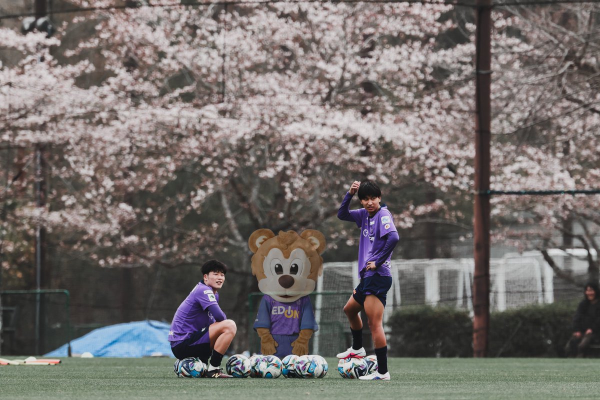 サンチェ Jr【サンフレッチェ広島公式マスコット】🐻 tweet media