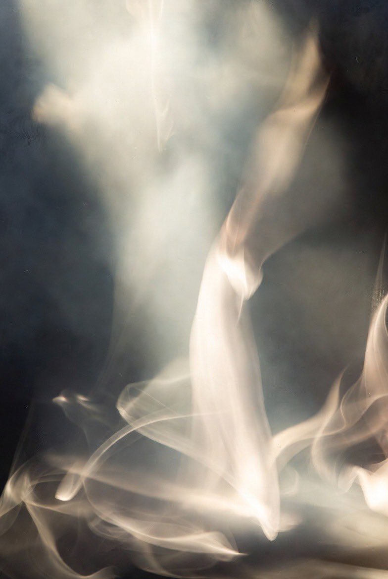 Pia Scheuer | BODENSEEPICS tweet media