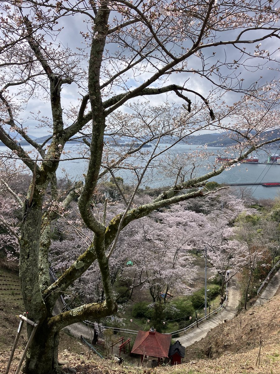 🍤でで tweet media