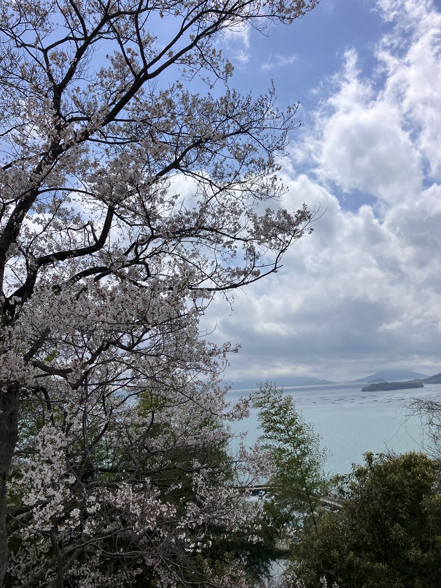 🍤でで tweet media