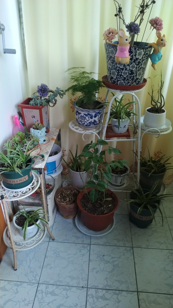 stephanie conte tweet media