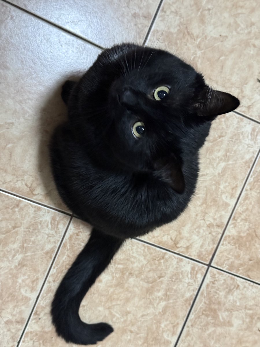 Закохана в життя tweet media