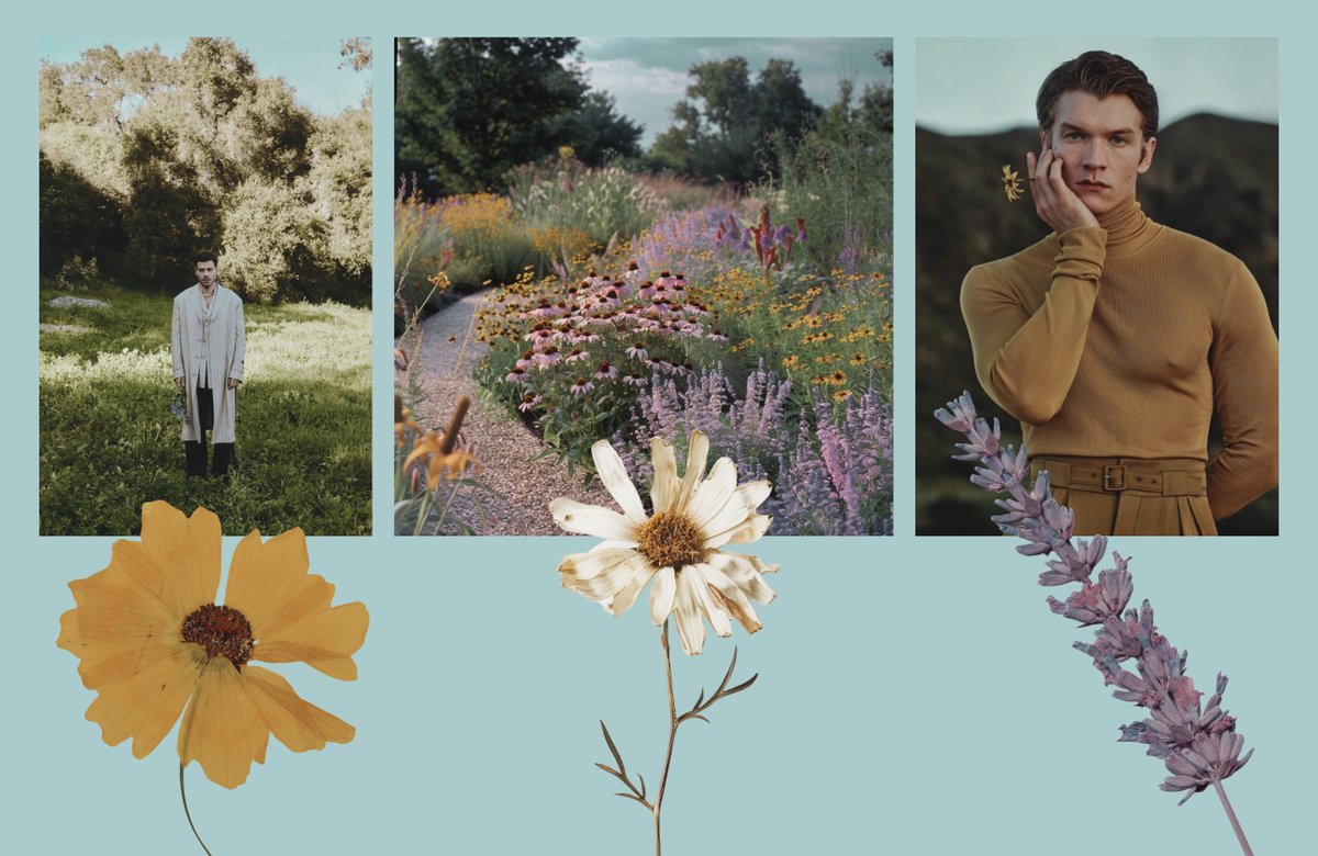 t.⭐️🕶️✌️ tweet media