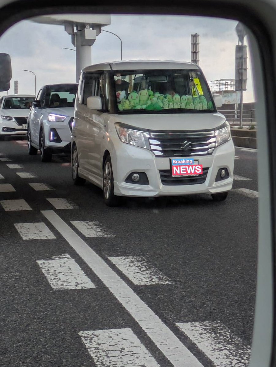 うぴどり tweet media