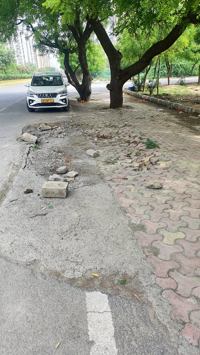 Mango Man *Amiit Gupta* tweet media