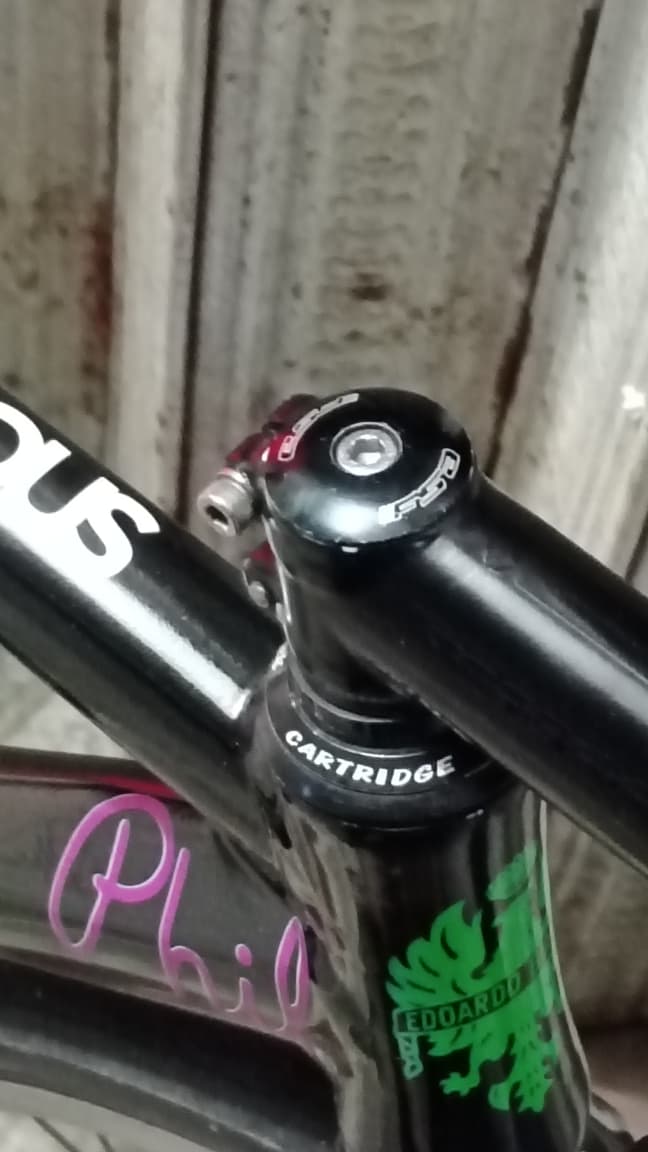 Bike_Holyc tweet media