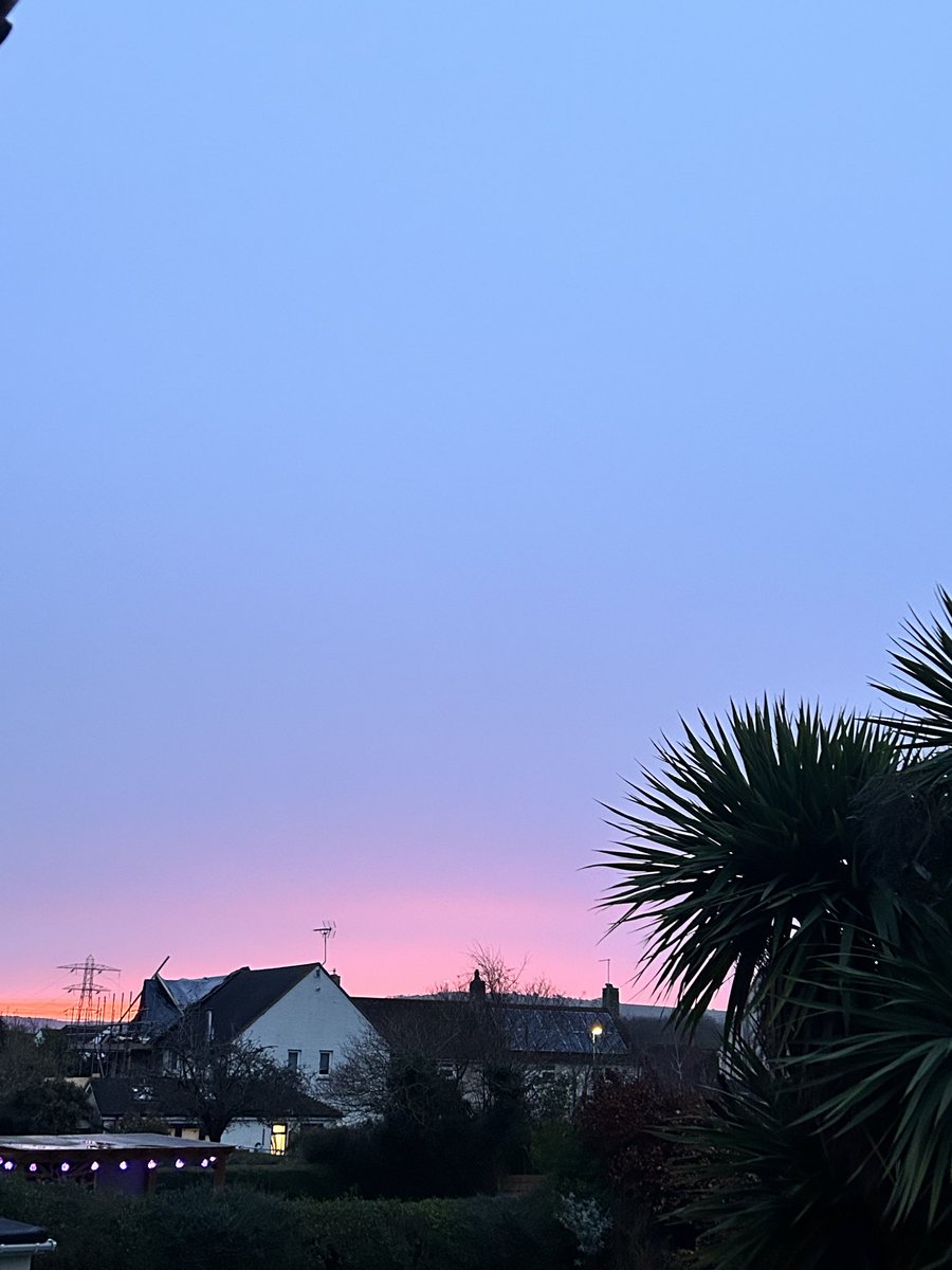 I Like The Technicals. tweet media