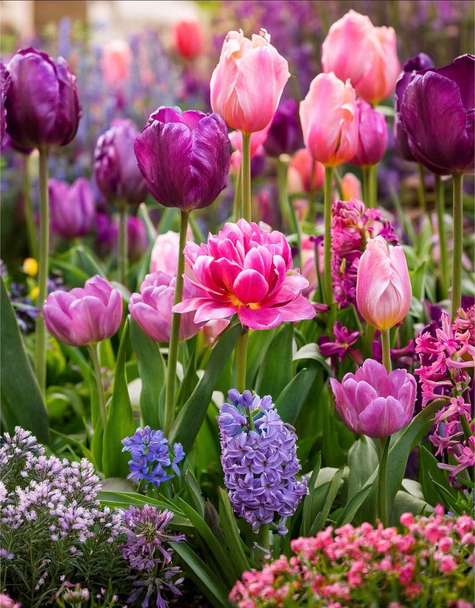 Donatella Fumagalli tweet media