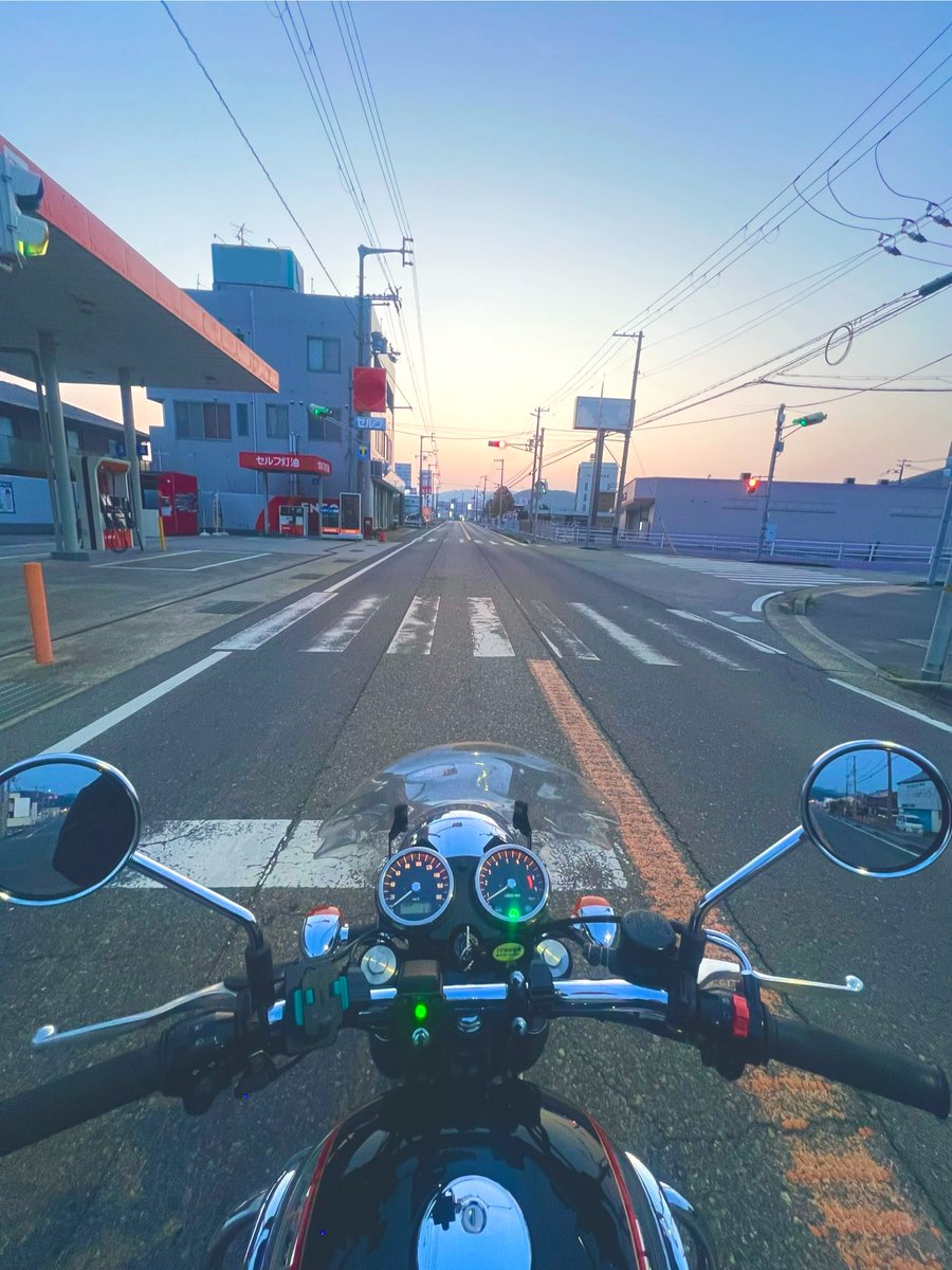 とうふちゃん tweet media