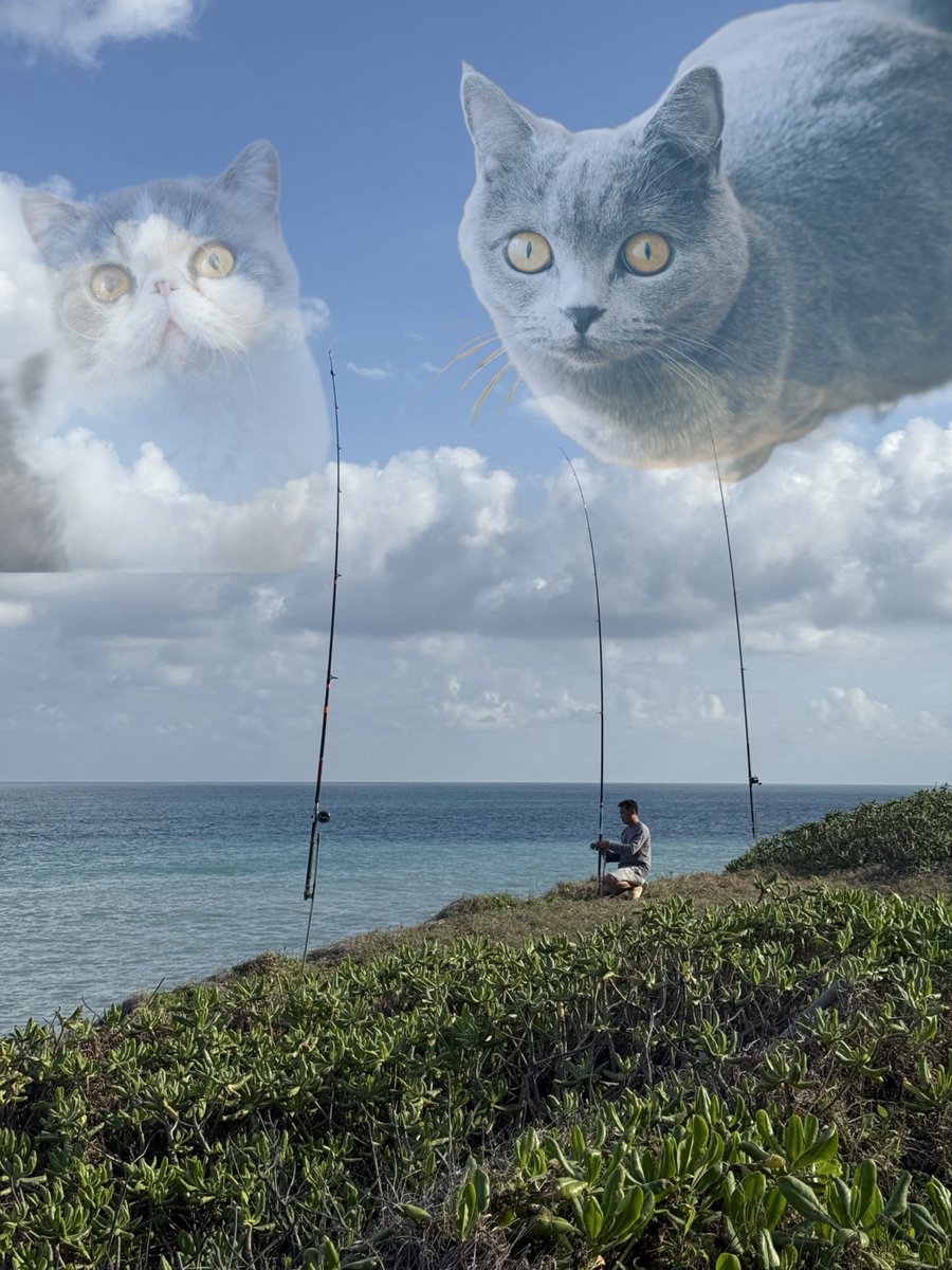 YouCam アプリ tweet media