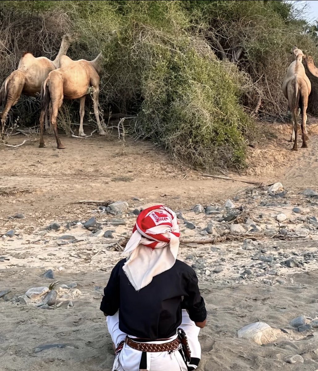 لانــا 𐩡𐩱𐩬𐩱 tweet media