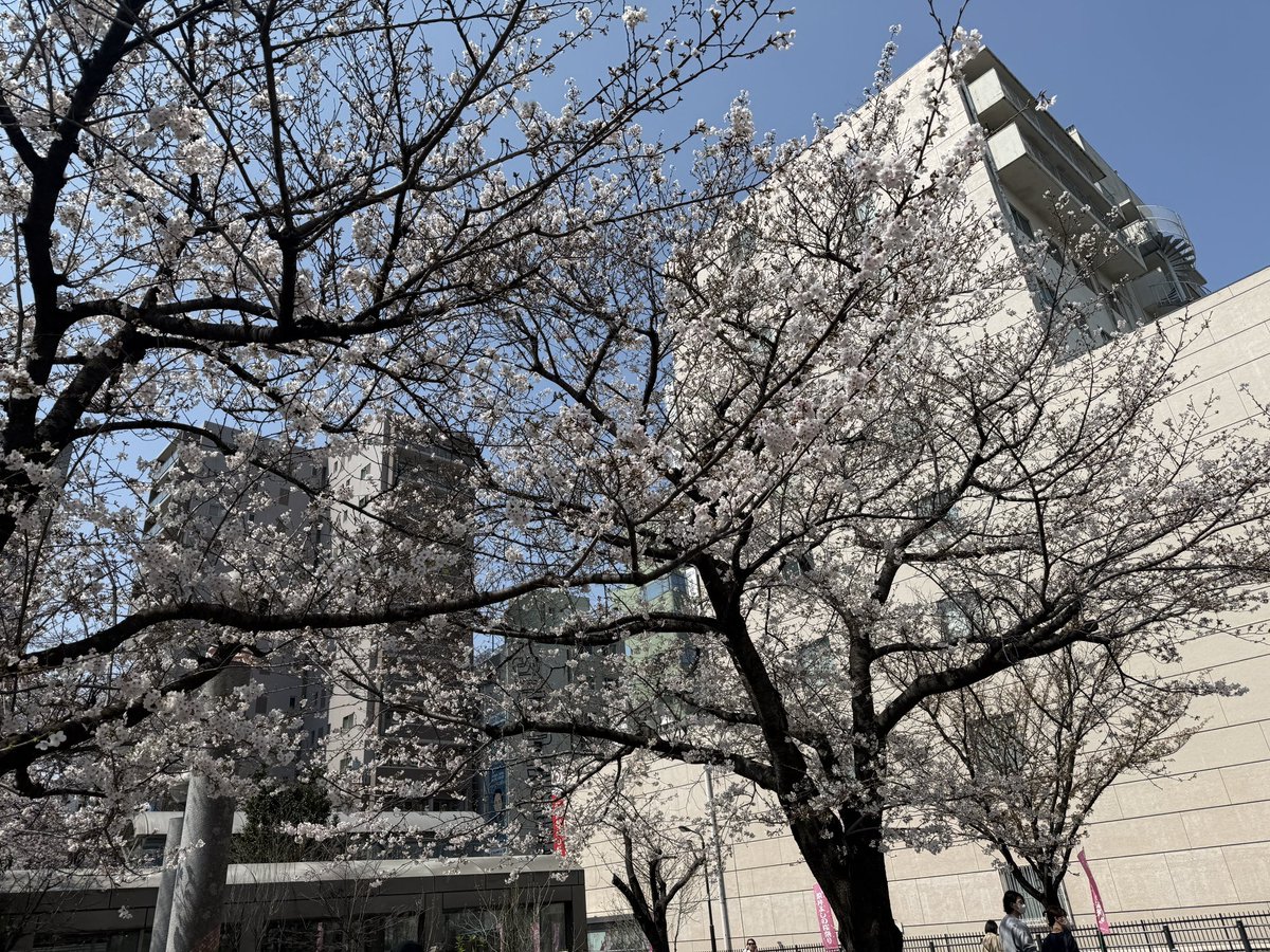 datemaki440(だてまき) tweet media