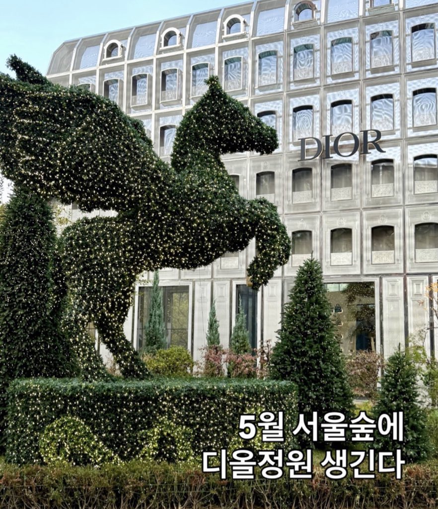 캣츠파파 tweet media