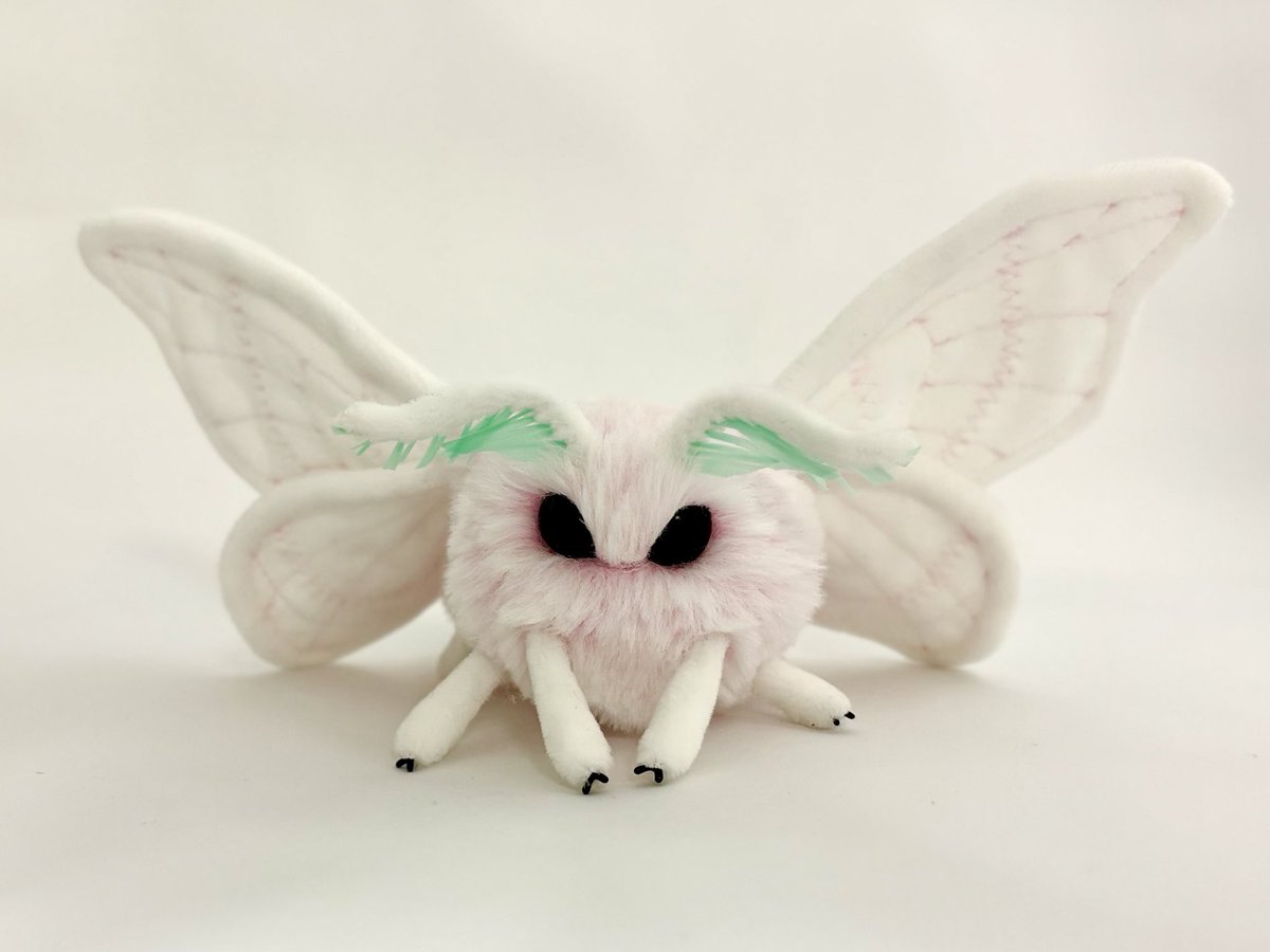 しろいの tweet media