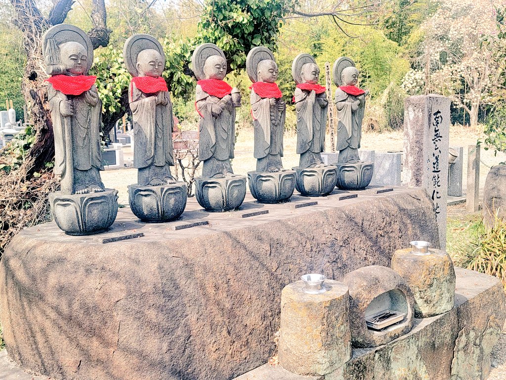 かー🐈🐾 tweet media