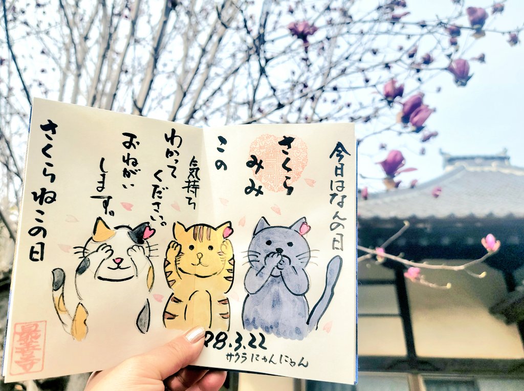 かー🐈🐾 tweet media