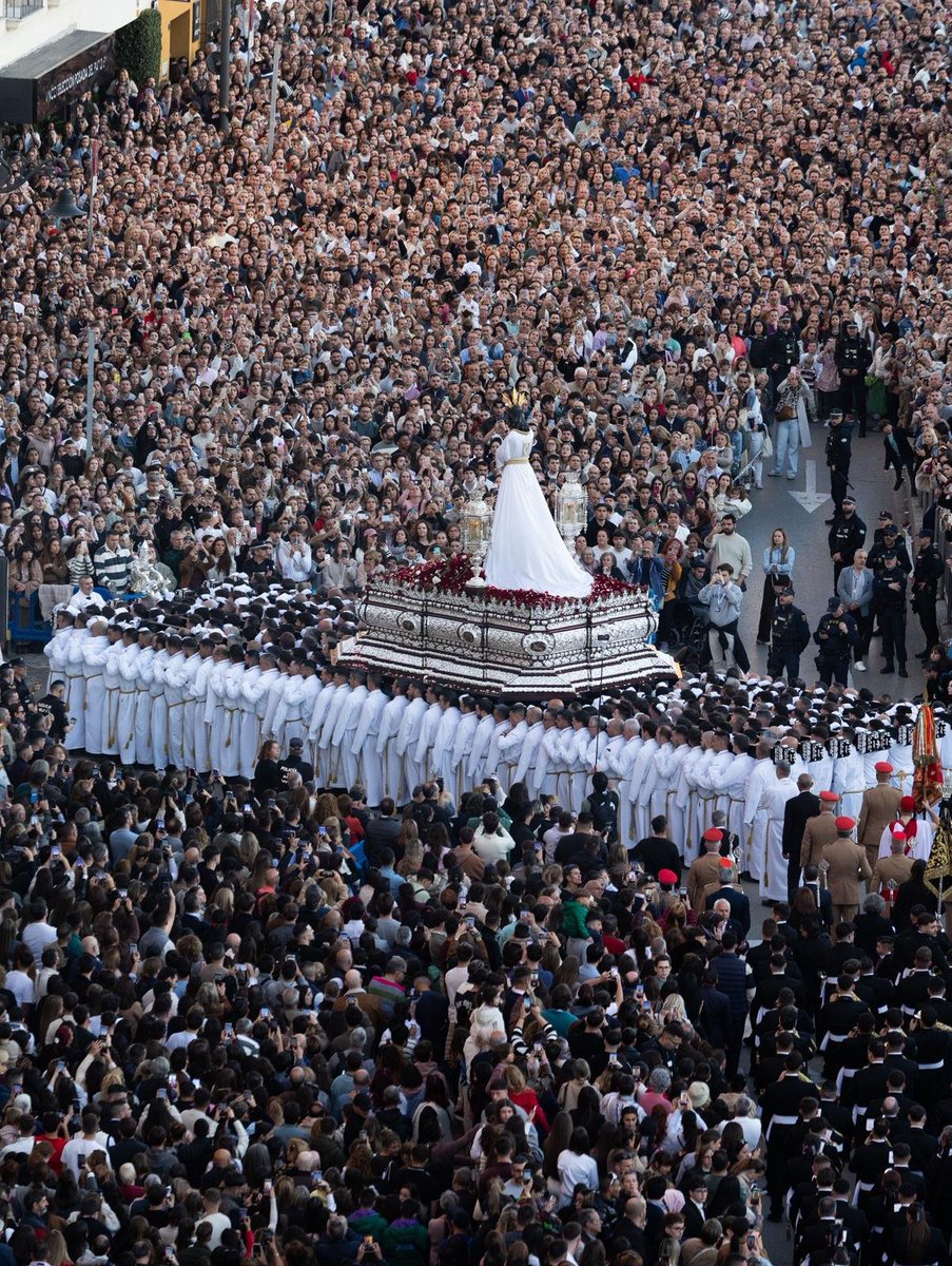 David Bollero tweet media