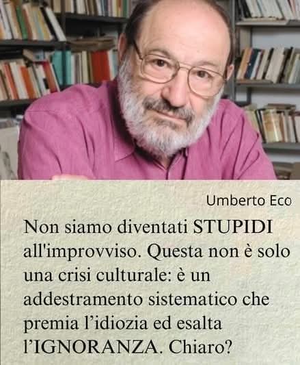 :Cinzia Paola tweet media