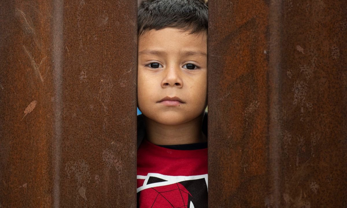 Anti Left Memes tweet media