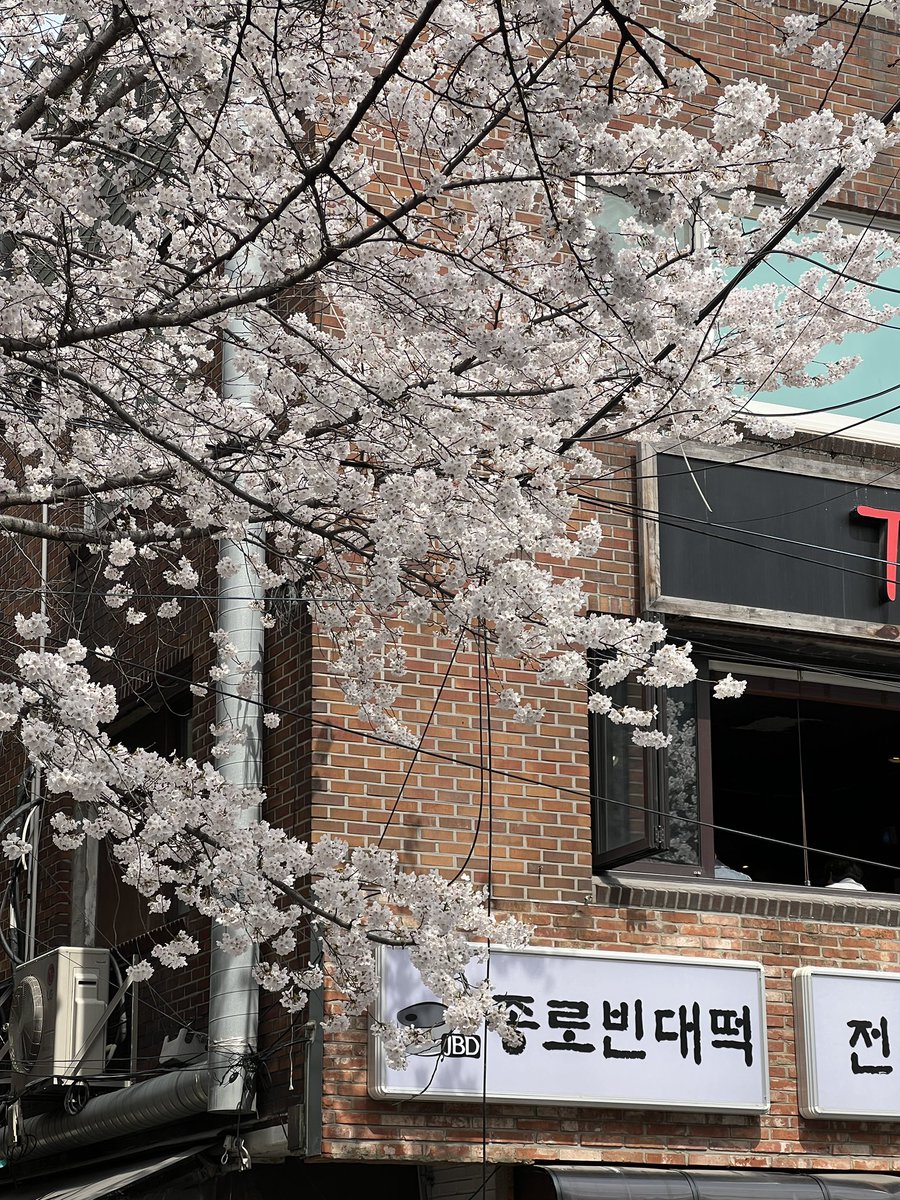 🪼 Nic💫le tweet media