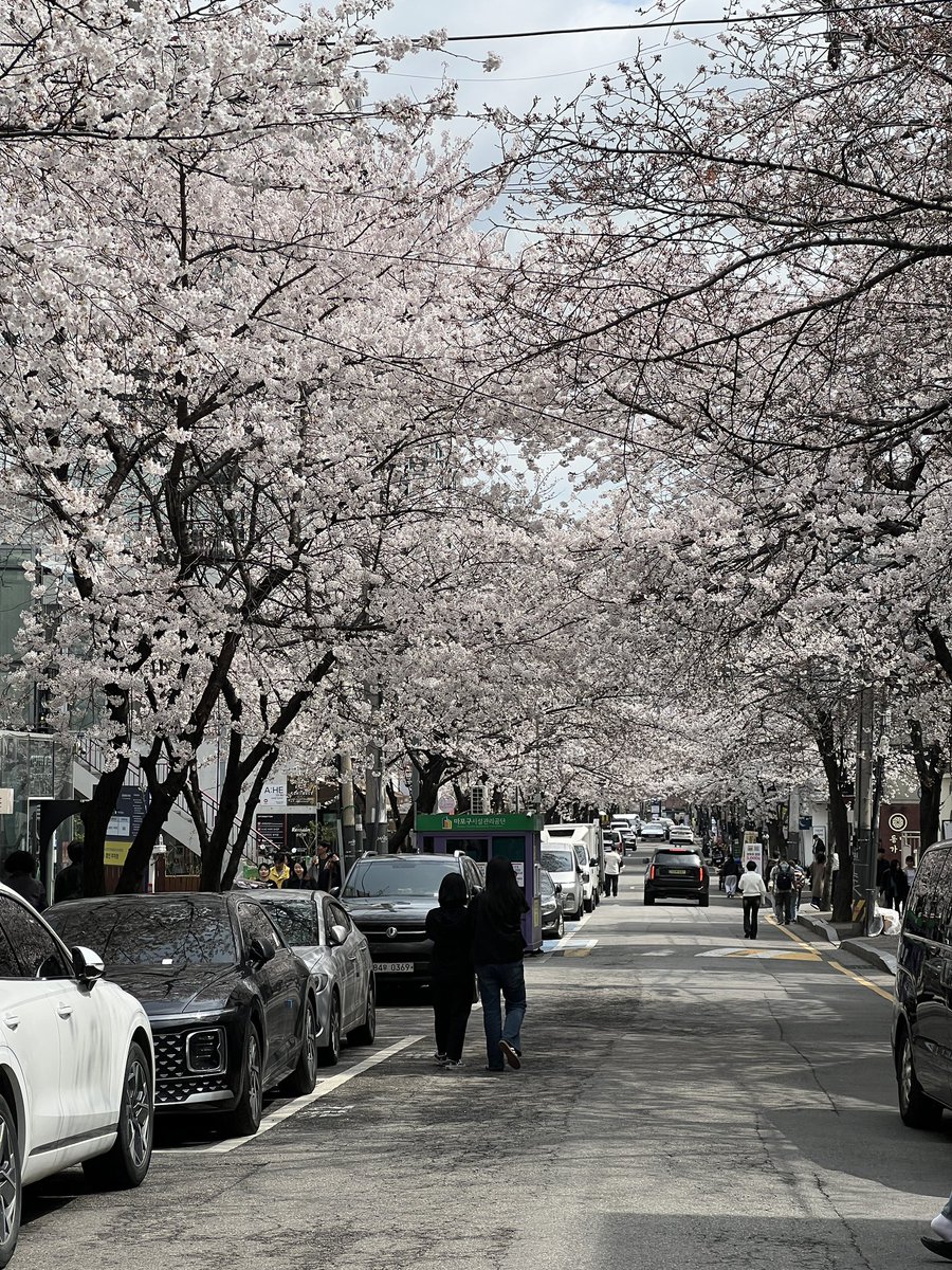 🪼 Nic💫le tweet media