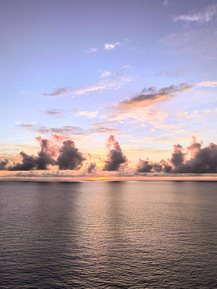 神託機械 tweet media