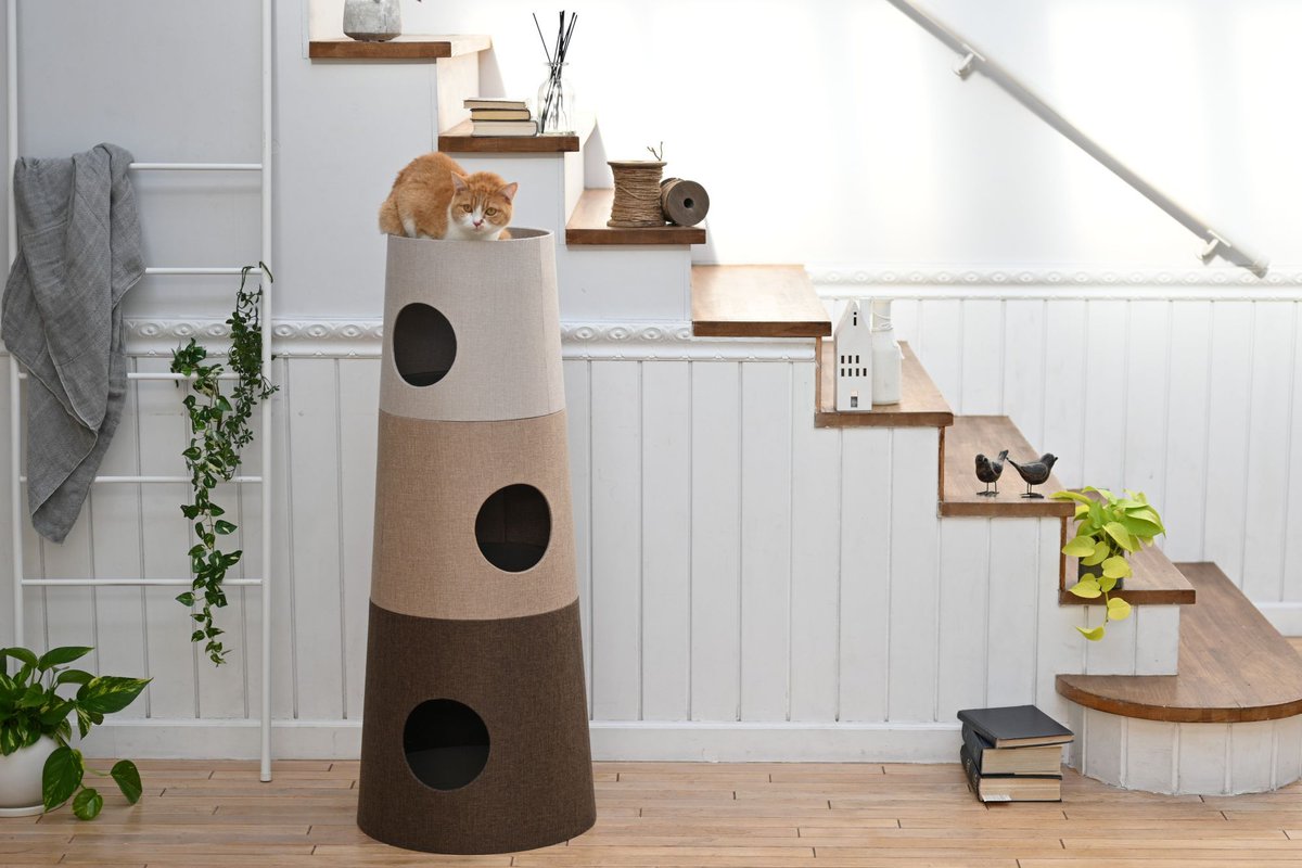 猫にとっての「安全」と「安心」を考えて生まれた キャットインテリア