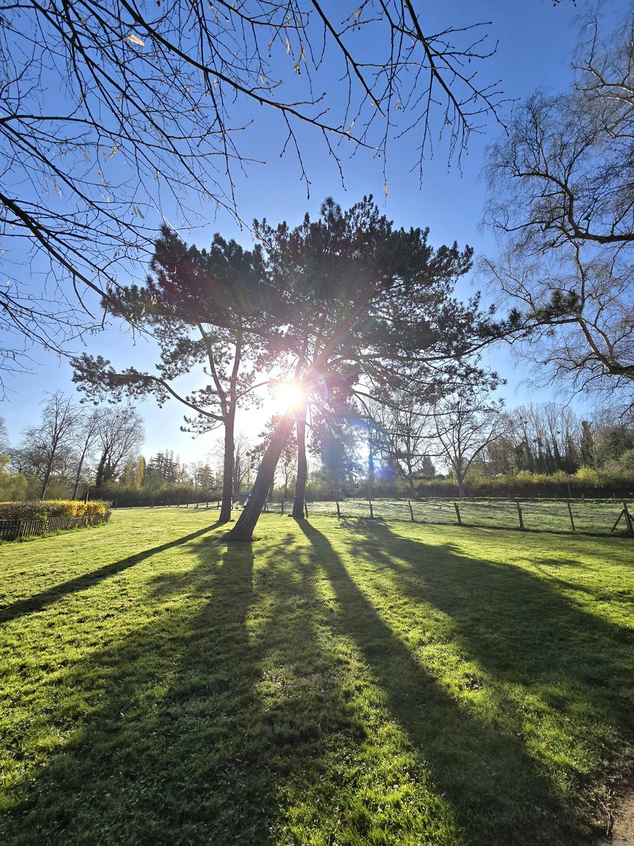 Enna Siala tweet media