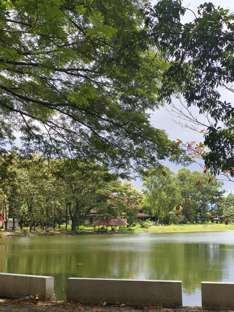 Asaaa 🌼 tweet media