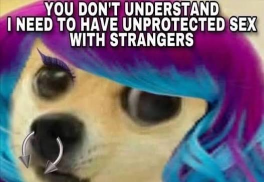 Cpt. Mucho Texto tweet media