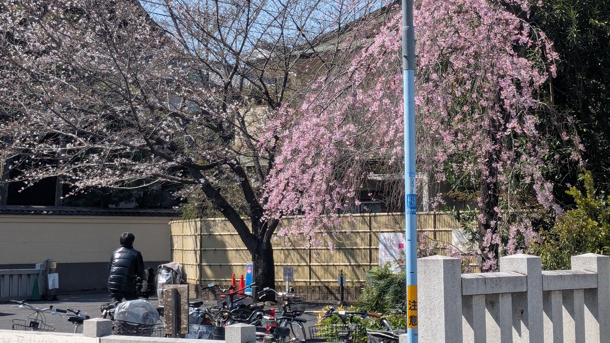 のりよし/南阿佐ヶ谷/１５時開店 tweet media