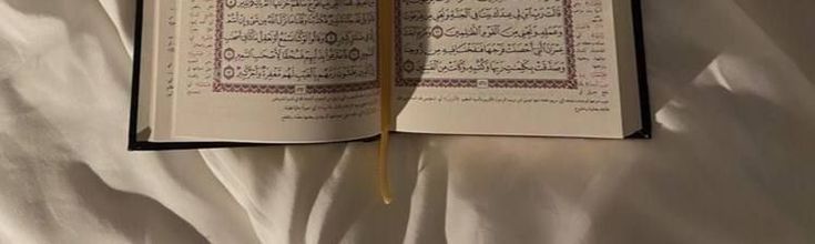 Mütevazi🕊️ tweet media