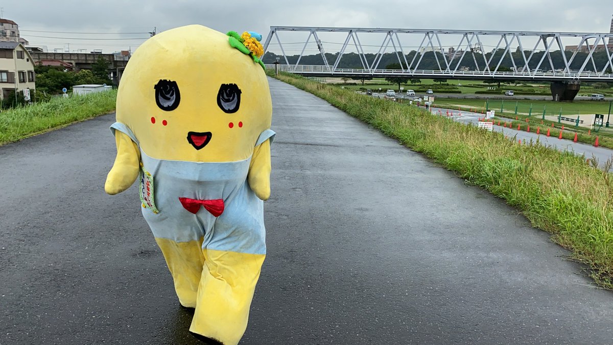 ふなっしー💙 tweet media