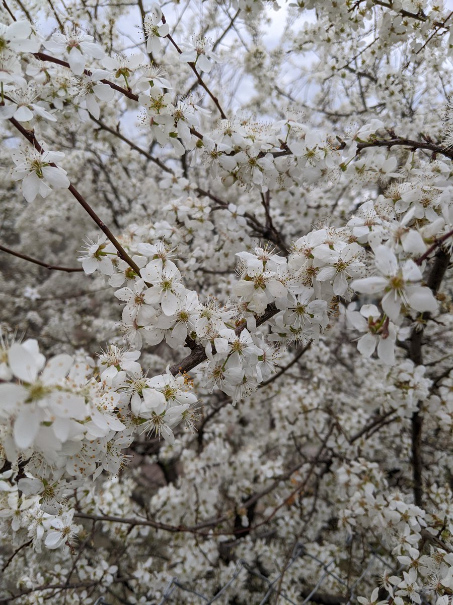 Georgia Pictures 🇺🇦 tweet media