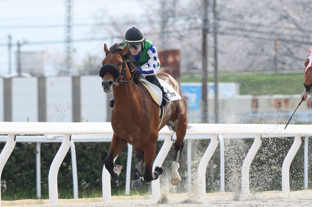 笠松競馬場 tweet media