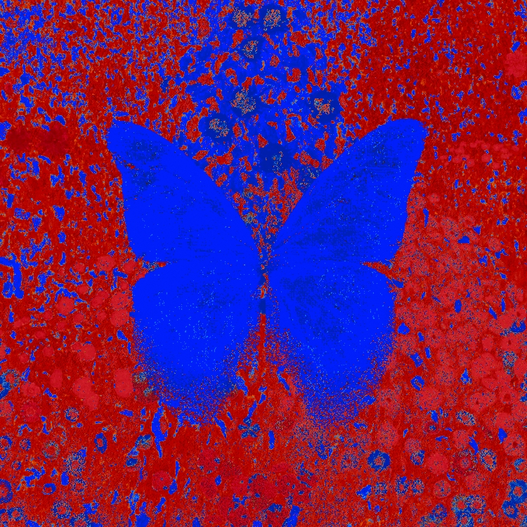 NINFA BOT tweet media