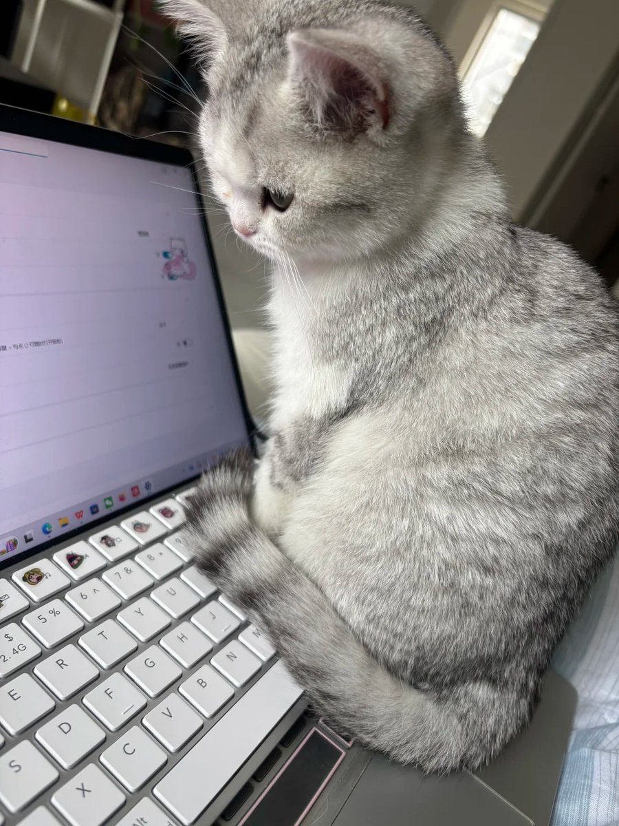 영이 youngii_ tweet media