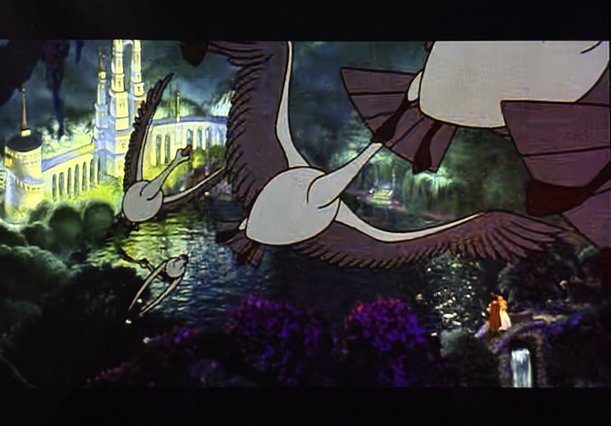 ⊹DENALI⊹ tweet media