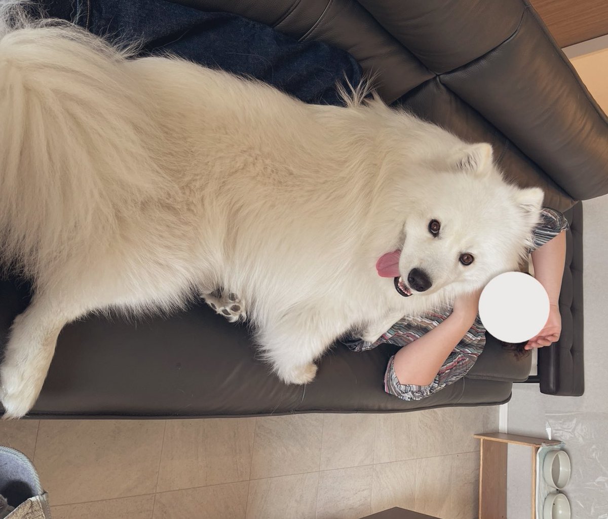 こもん tweet media