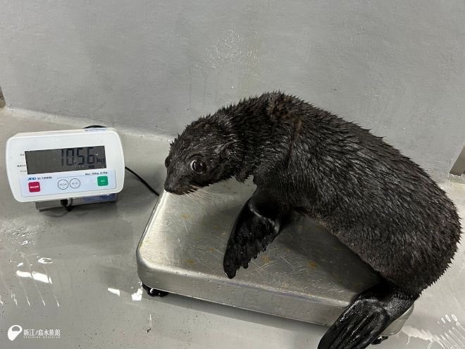 clover 🍀 tweet media