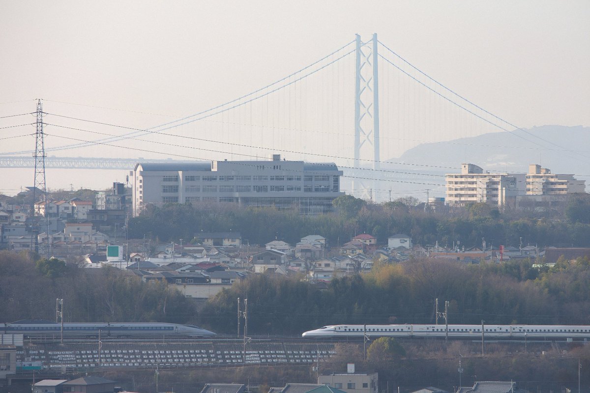 のんちゃん tweet media