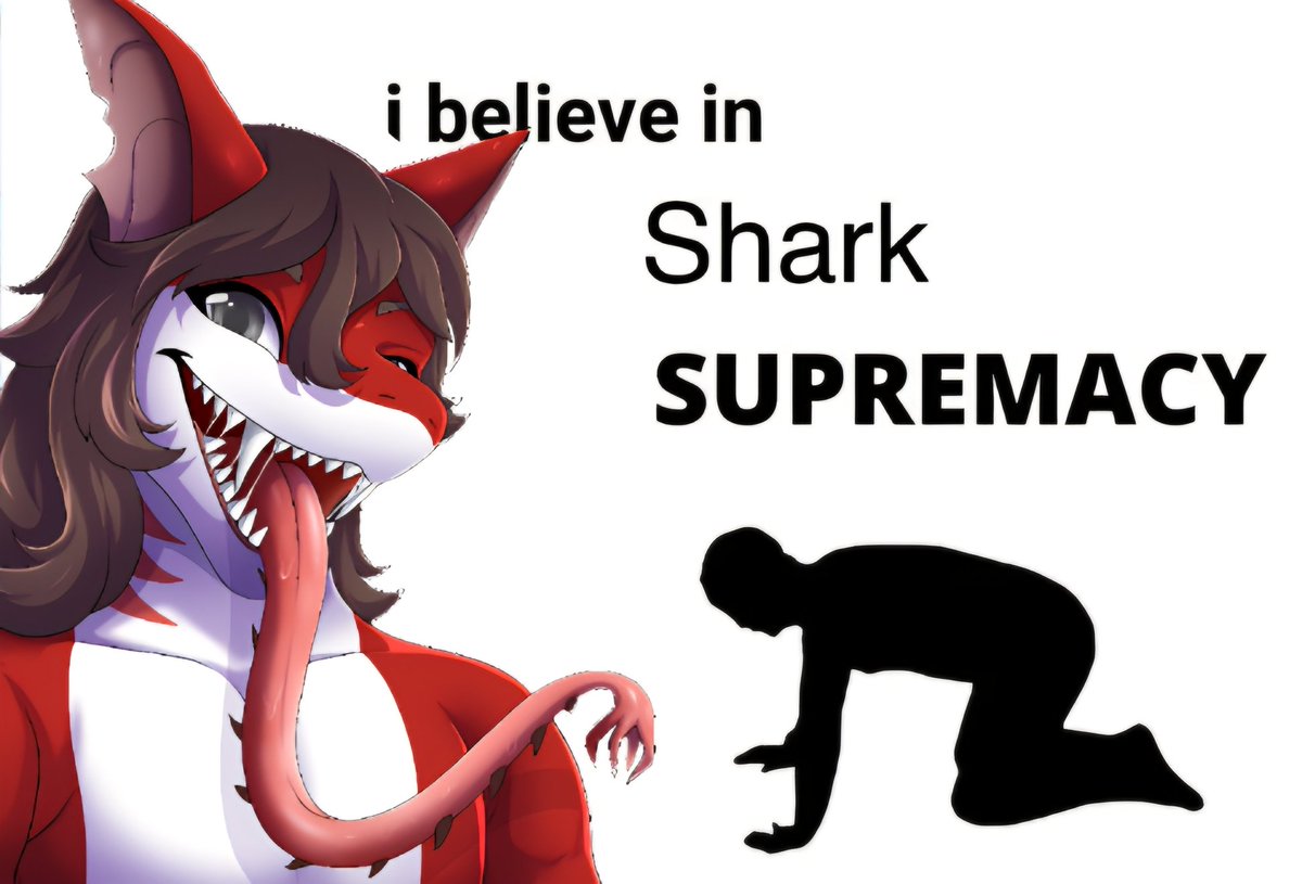 Bolg (@bolgshark) on Twitter photo 