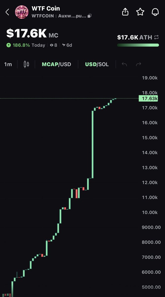 WTF Coin tweet media