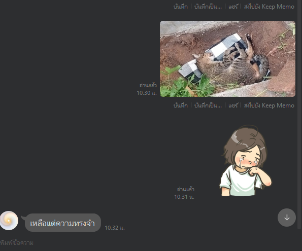 SMILE ALL ੯·̀͡⬮ tweet media