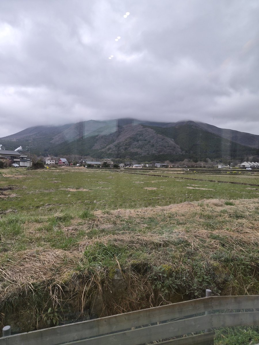 Koki Ito 高麗大学・政治外交学科 tweet media