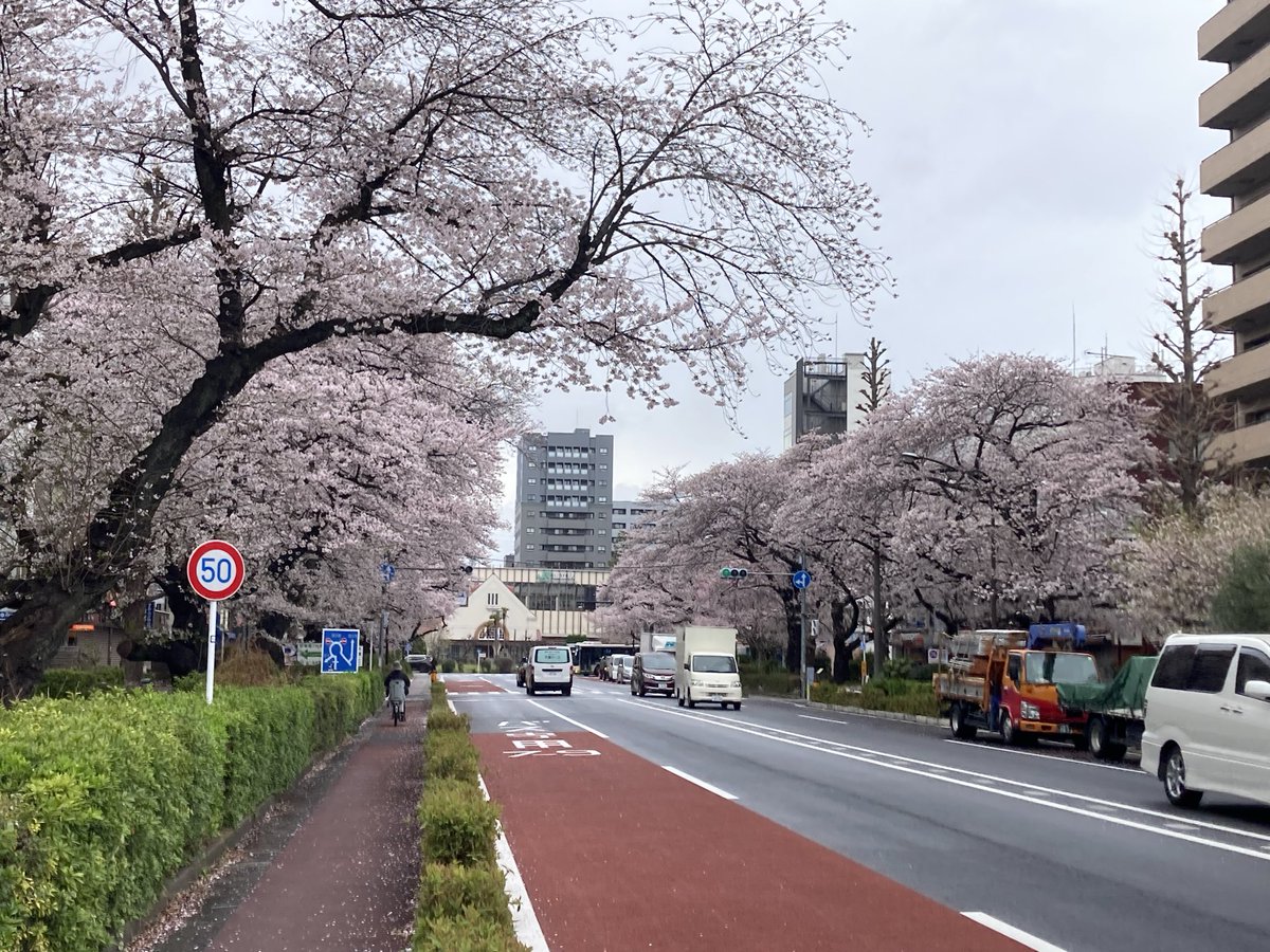 グリーン tweet media